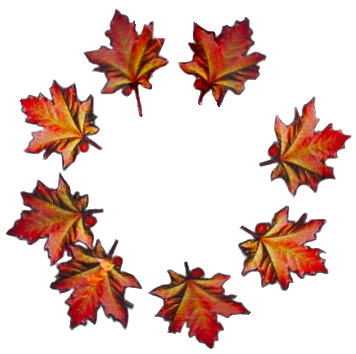 LED spinners created a circle of maple leaves background removed.